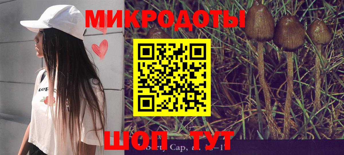 Галлюциногенные грибы Psilocybe Орск